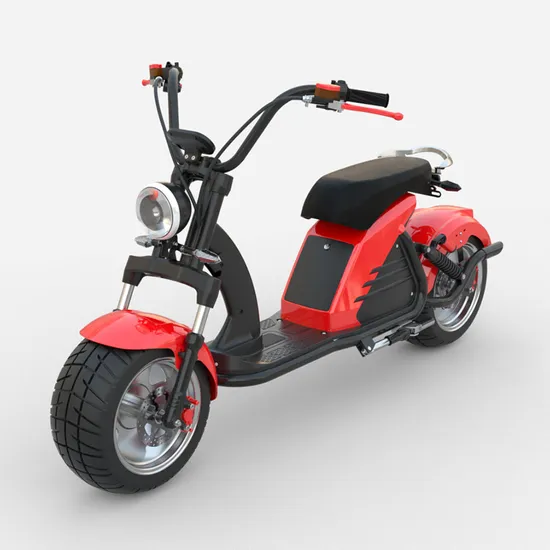 2023 Nova Chegada Citycoco EEC/Coc Chopper Scooter Elétrico 3000W Motor 60V 20ah/30ah com alta velocidade 70km/h